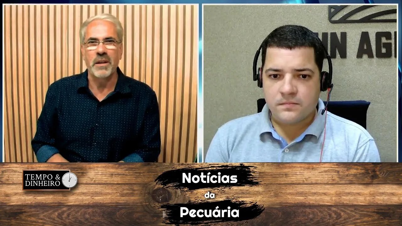 Boi gordo começa a mostrar recuperação na B3 e no mercado físico