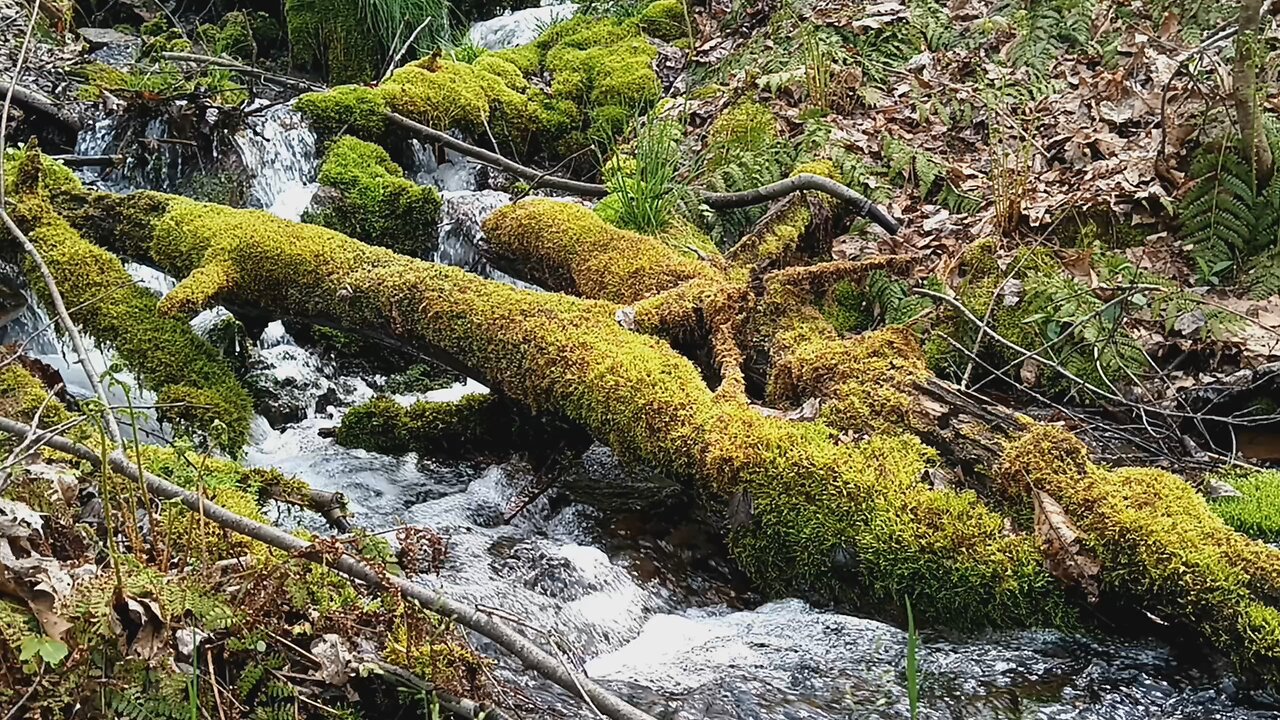 amazing waterfall finds