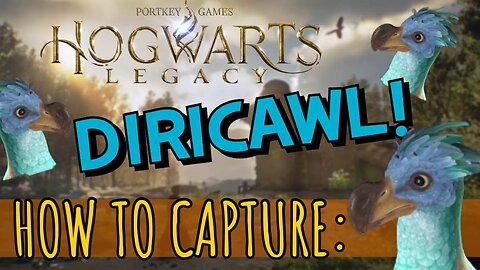 ⚡Where to Find and Capture the Diricawl in Hogwarts Legacy⚡