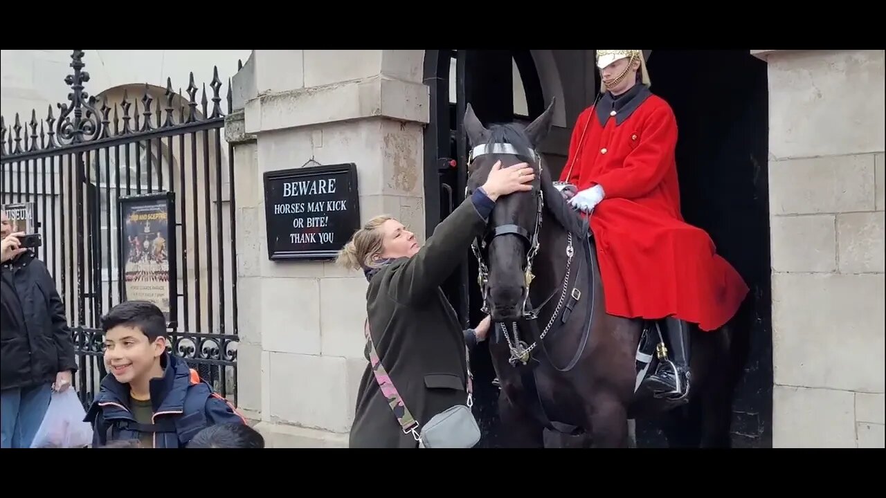She came very close to to annoying the guard #horseguardsparade