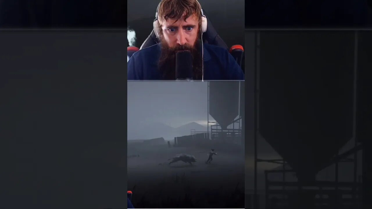 The pig is possessed