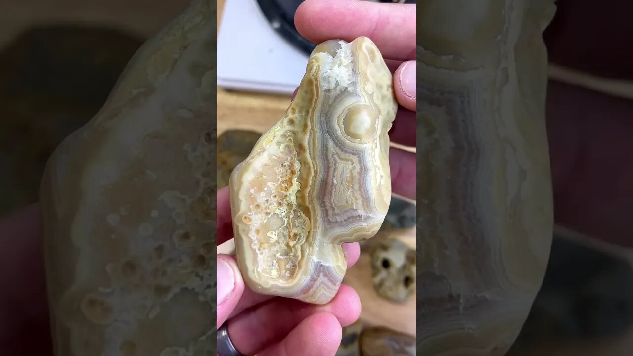 Gnarly agates from Louisiana!