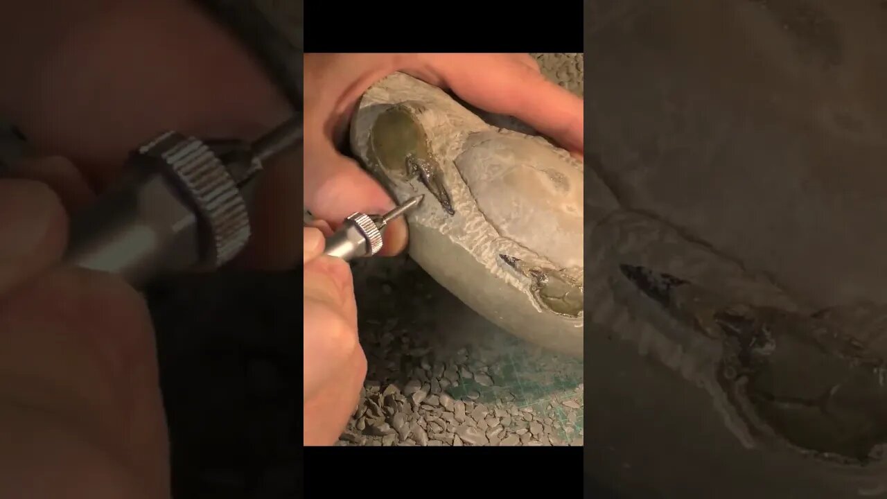 15 hours to free this fossil crab 🦀 #shorts #fossil