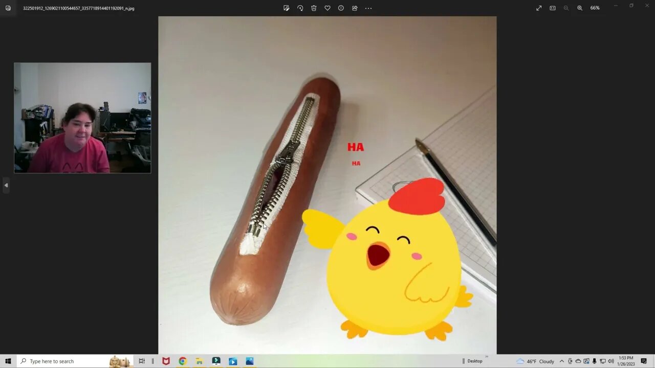 Hotdog Pencil Case 🌭