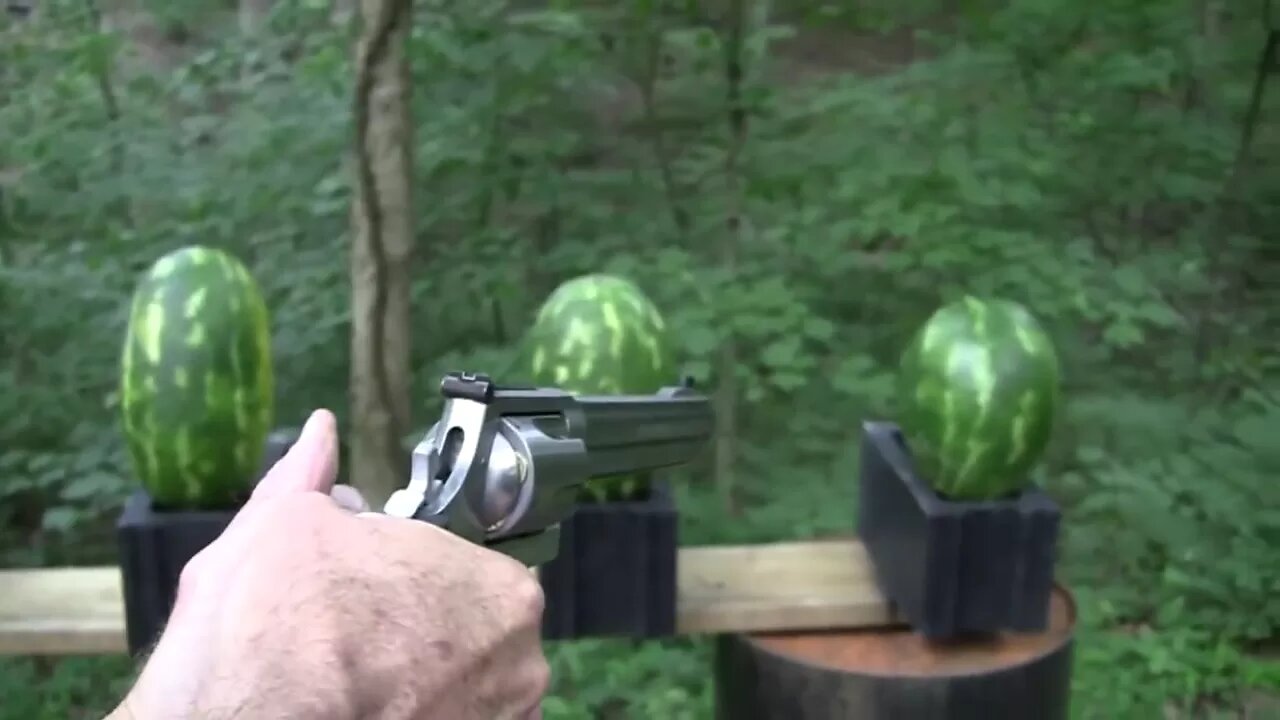 500 Magnum vs Watermelons