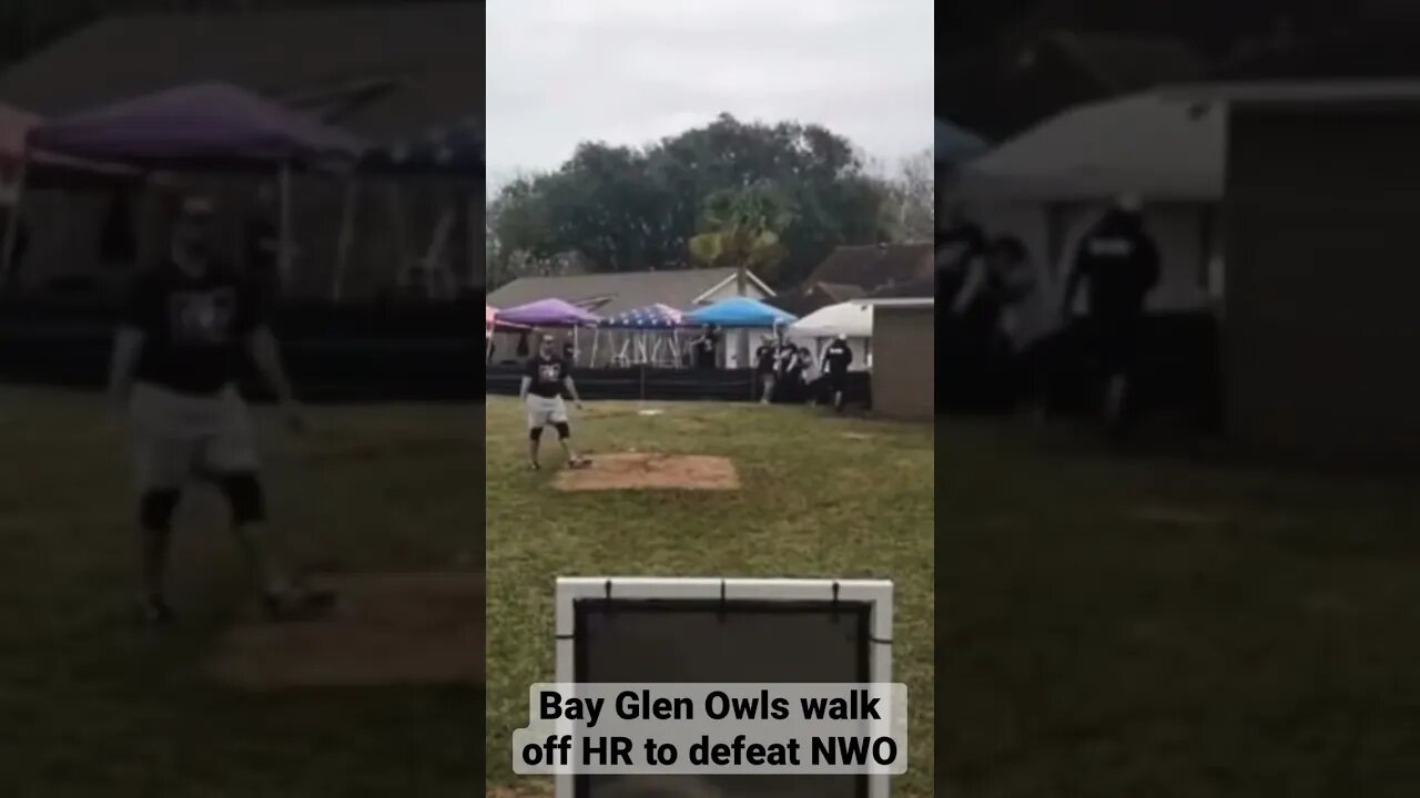 Walk off wiffle ball HR. Owls defeat N.W.O. #wiffle #wiffleball #shorts #homerun #highlights #sports