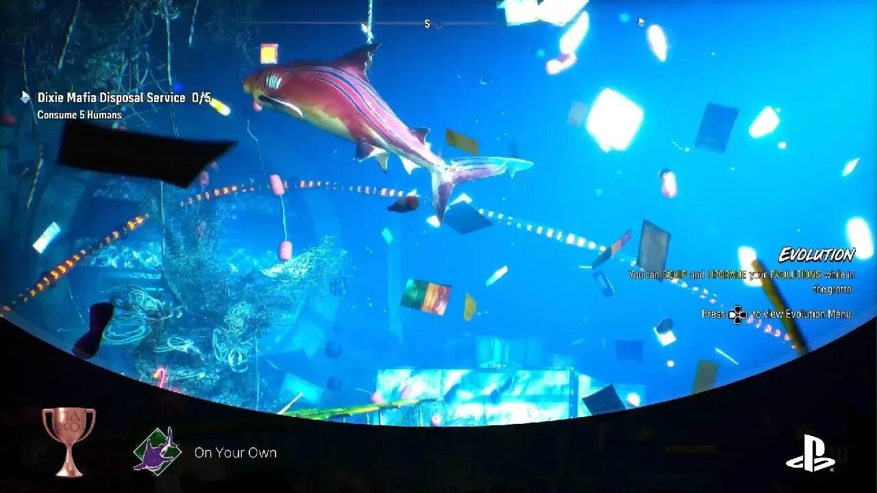 Jerry and the Shark