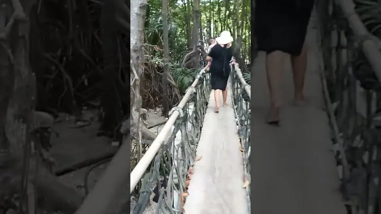 Hanging Bridge in Philippines