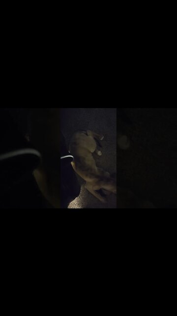 Baby Angel 😇 sleeping after a ruff day 🤫