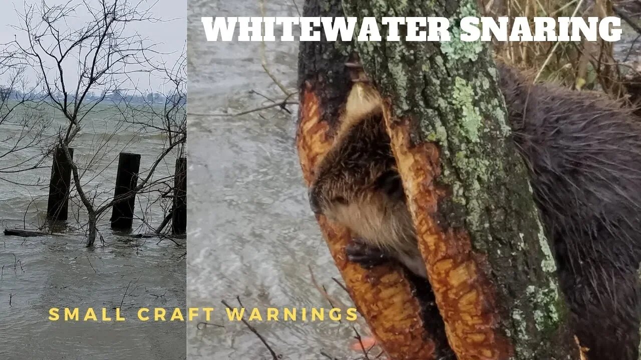 Whitewater Snaring