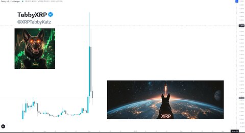 Analyzing XRPL Memecoin TABBY: Short-Term Outlook and Strategies 🔍🚀