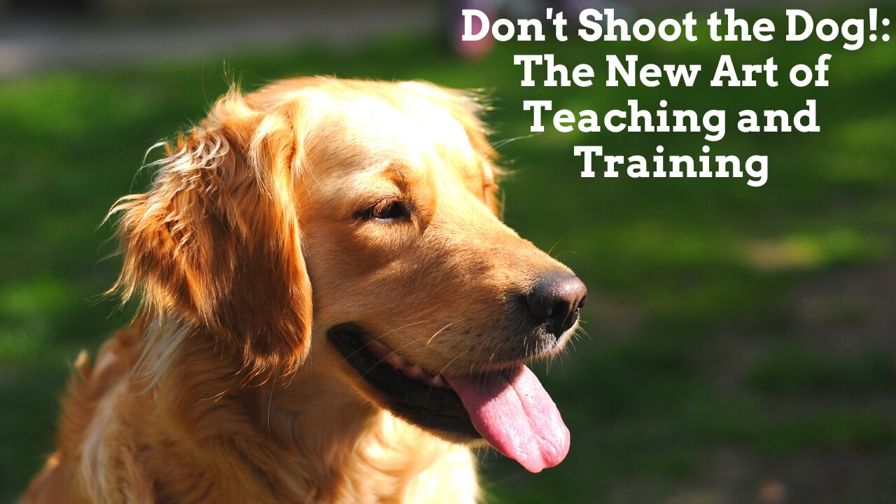 Don't Shoot the Dog!: The New Art of Teaching and Training