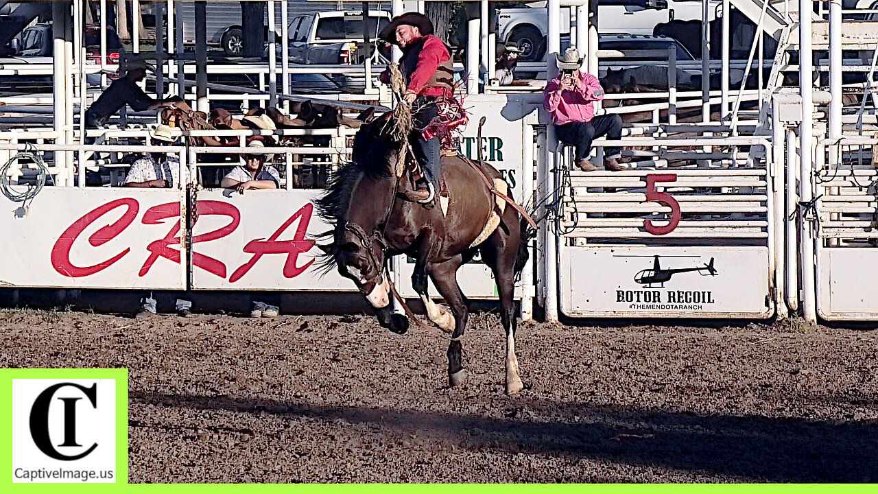 Saddle Bronc Riding - 138th Annual Canadian Rodeo | Saturday