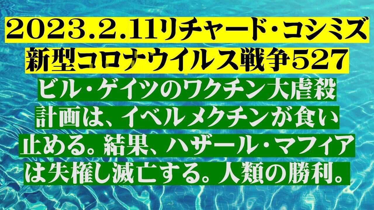 2023.02.11 リチャード・コシミズ新型コロナウイルス戦争５２７