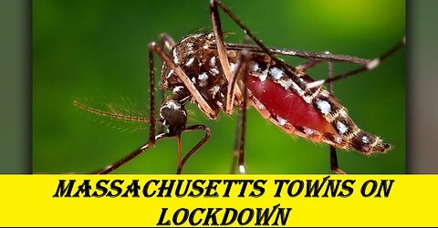 Massachusetts towns on lockdown to prevent spread of deadly mosquito-borne disease EEE