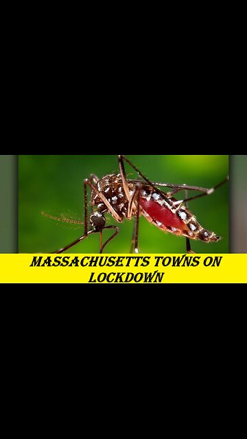 Massachusetts towns on lockdown to prevent spread of deadly mosquito-borne disease EEE