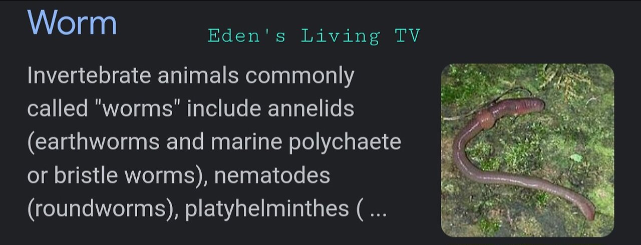 Why worms in the Brain and BODY is so Dangerous EDEN'S LIVING TV