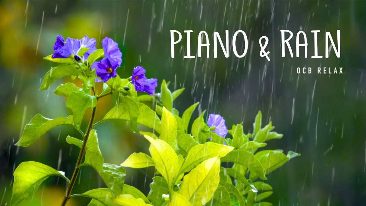 Relaxing Music & Soft Rain: Sleep Music, Calm Piano Music, Healing Music, Peaceful Music ★149