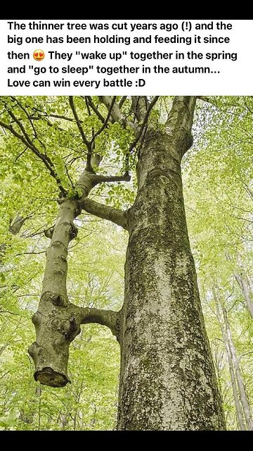 Feeling wary about the "30-day cough" or “100-day cough”!?!