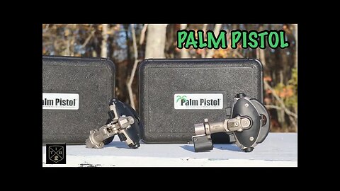 Palm Pistol / Coolest Gun You've Never Heard of