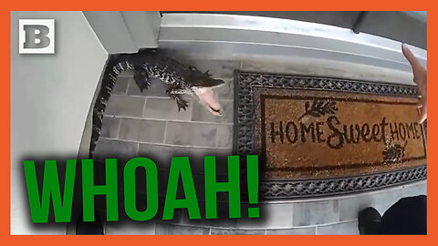 No Biggie! Police Officer Wrangles Young Alligator at Couple’s Front Door with His Bare Hands