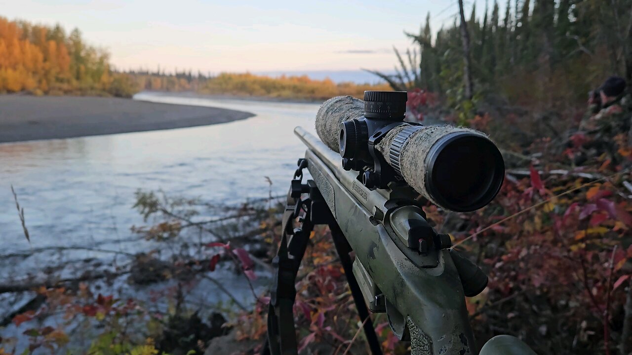 Alaska Moose hunting