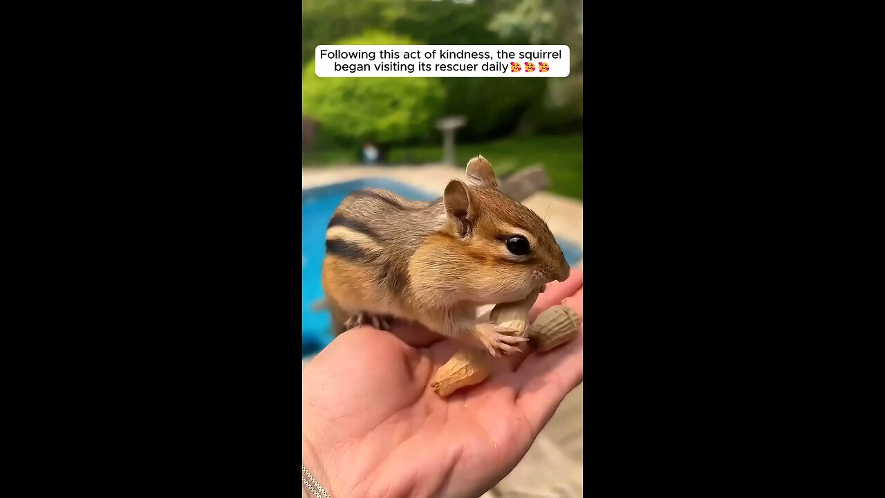 A man freind in squirrel