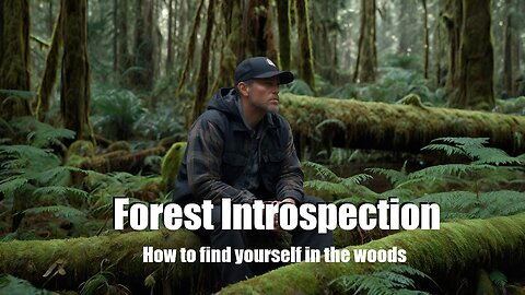 Introspection in the forest