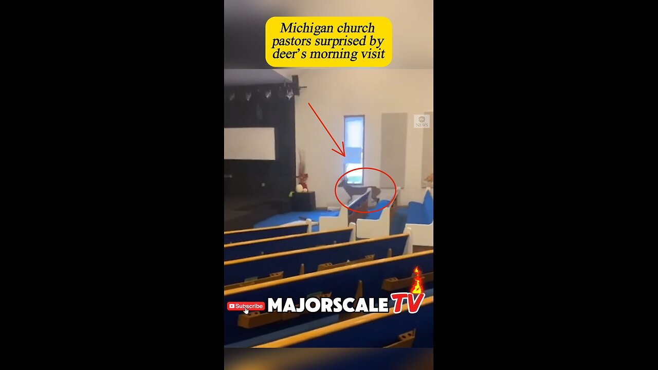 Buck/Deer enters into Michigan church for a word 📖🦌😬😳😆 #churchchronicles #majorscaletv