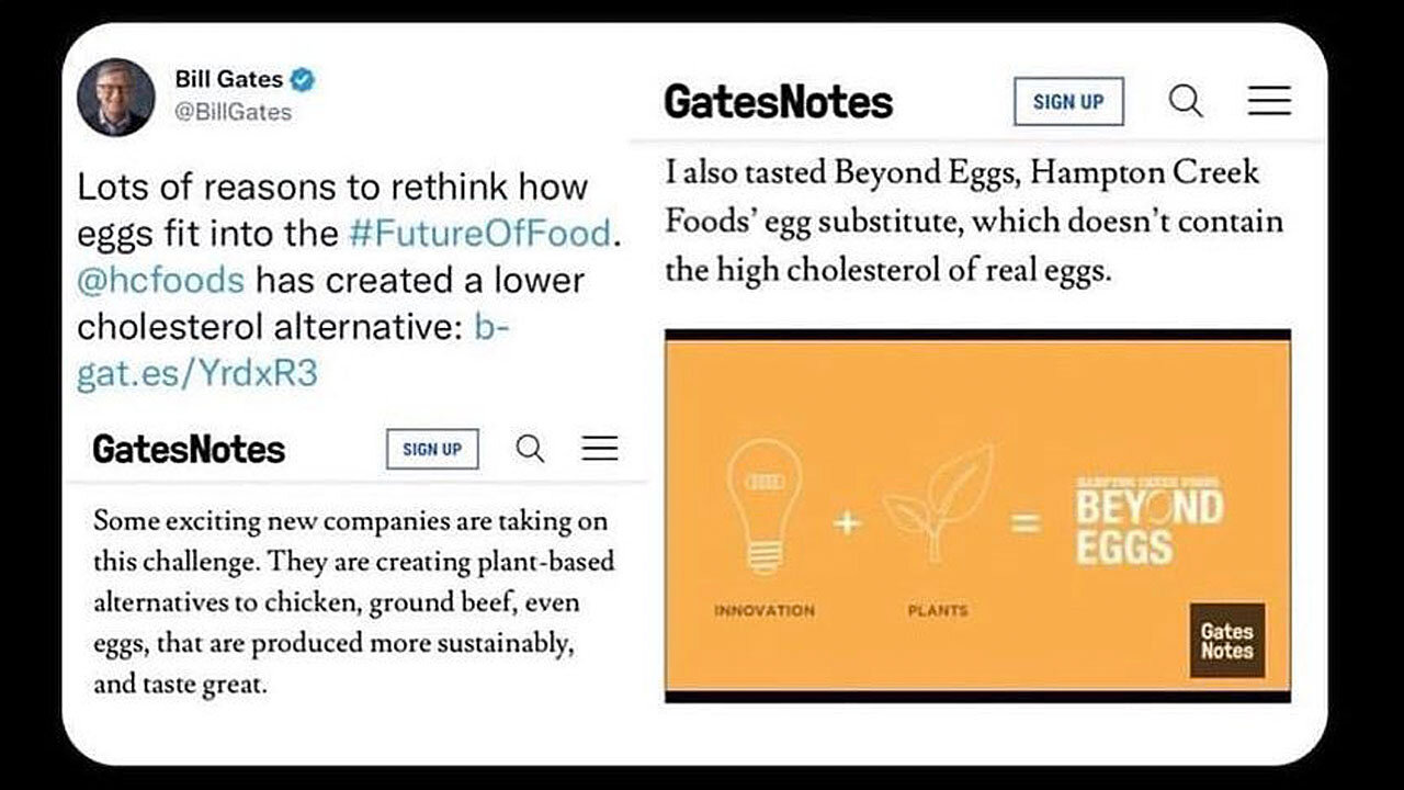 Largest Egg Producer in America Suddenly Burns to the Ground! 🥚🔥