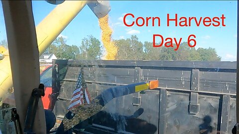 2021 Corn Harvest Day 6