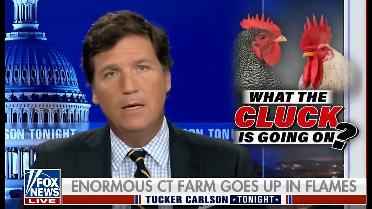 Tucker Carlson Voices His Concerns Over the Egg Shortage & Food Supplies