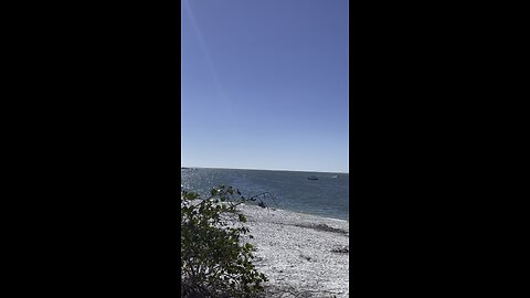 Big Carlos Pass At Lovers Key State Park 2/2/2023 #LoversKey #BigCarlosPass #FYP #4K #DolbyVisionHDR