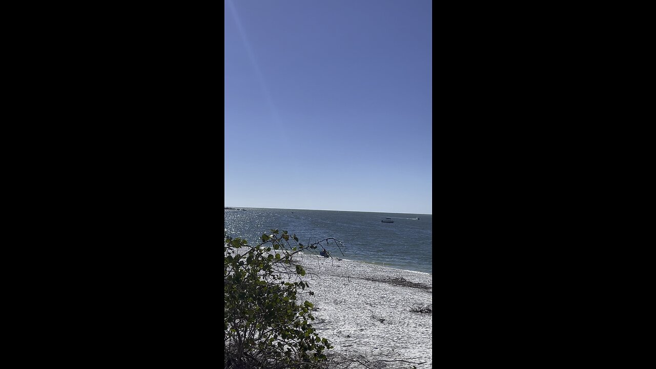Big Carlos Pass At Lovers Key State Park 2/2/2023 #LoversKey #BigCarlosPass #FYP #4K #DolbyVisionHDR