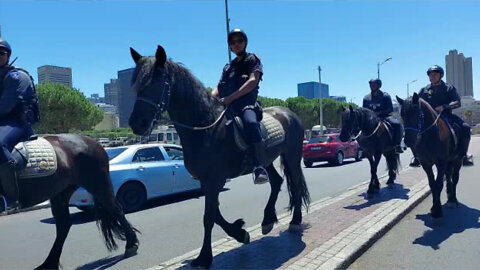 Watch: Mounted Police Patrol Cape Town CBD Ahead Of SONA 2023