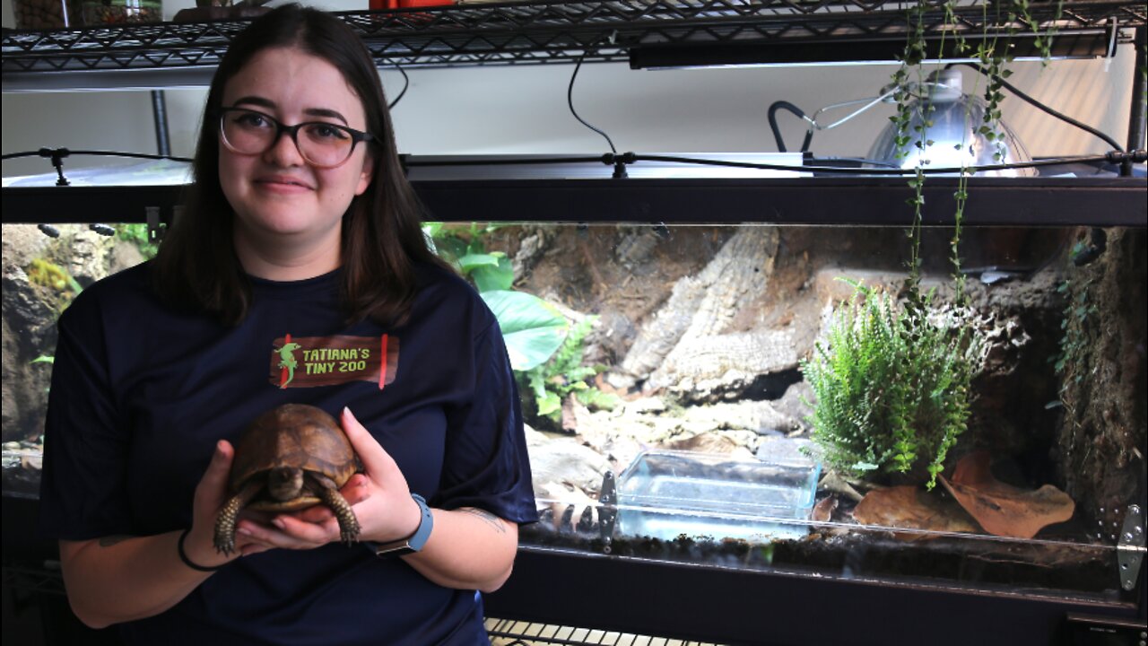 Milwaukee woman creates Tatiana's Tiny Zoo, a traveling zoo