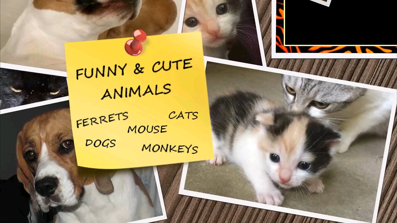 Thursday PUURRSSDAY PART 2