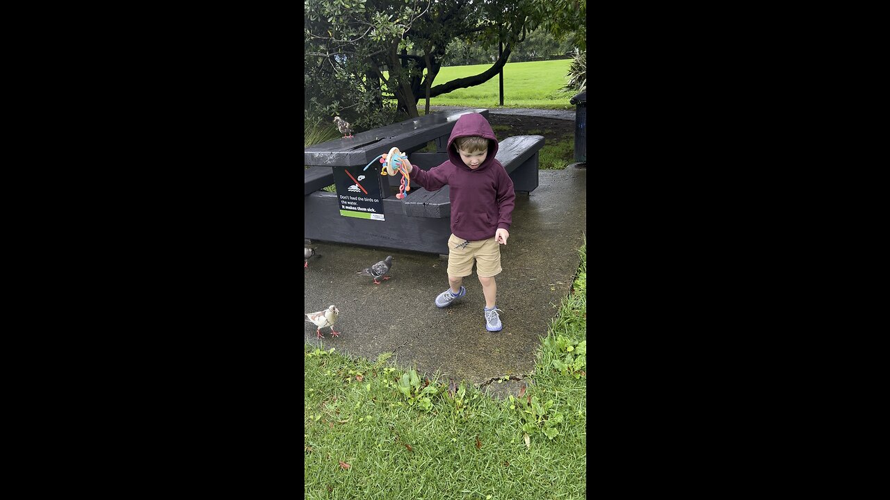 Throwing Bread at my Son for fun 🤣