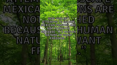Incredible Random Facts That Will Expand Your Mind! #shorts #facts #viralshorts #fyp #life