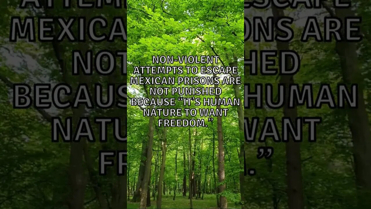 Incredible Random Facts That Will Expand Your Mind! #shorts #facts #viralshorts #fyp #life