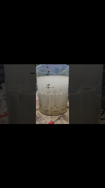 testing magnification on the 10 cell cavity