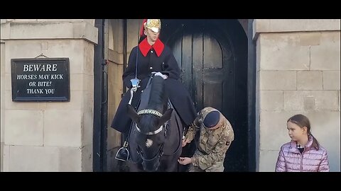 Making sure the the saddle is secure #horseguardsparade