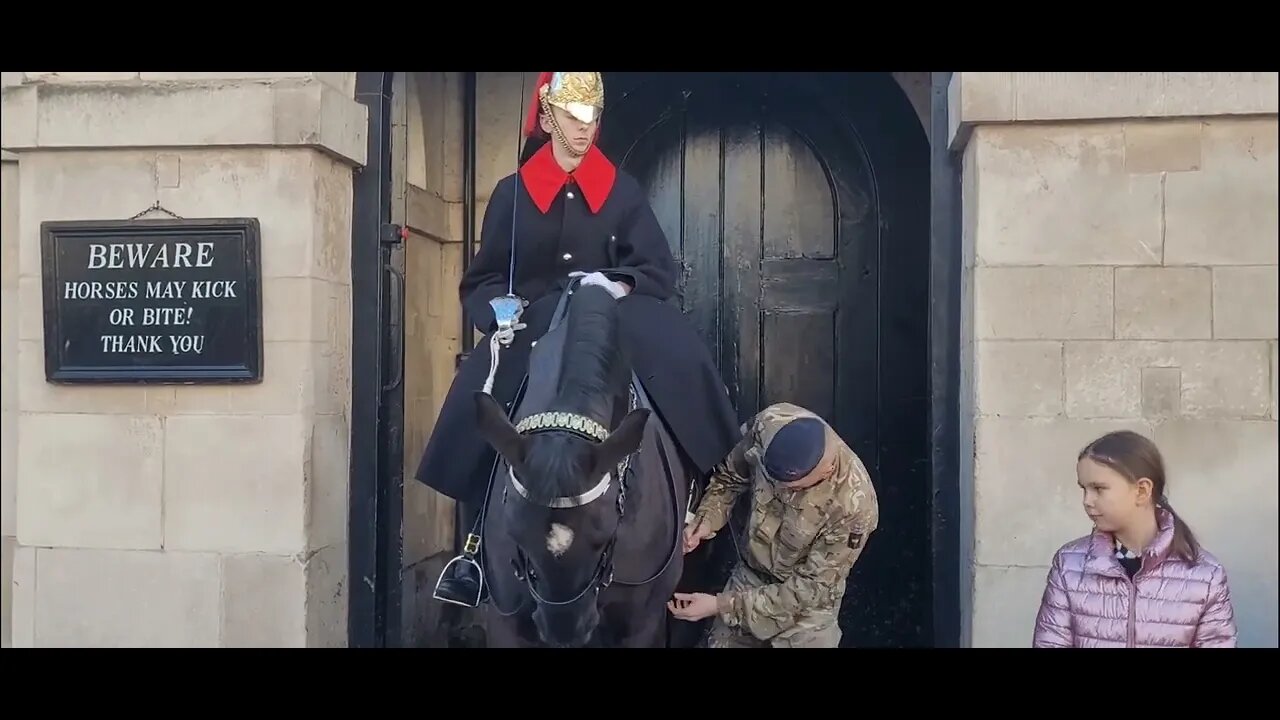 Making sure the the saddle is secure #horseguardsparade