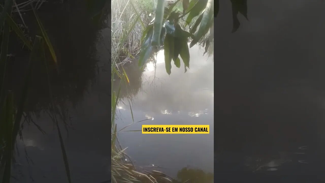 ✅Poço das Mangueiras Riacho de Santana#Belezas do Nordeste🌵