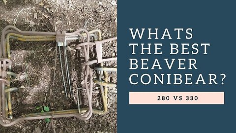 330 vs 280 for Beaver - Which is Best?