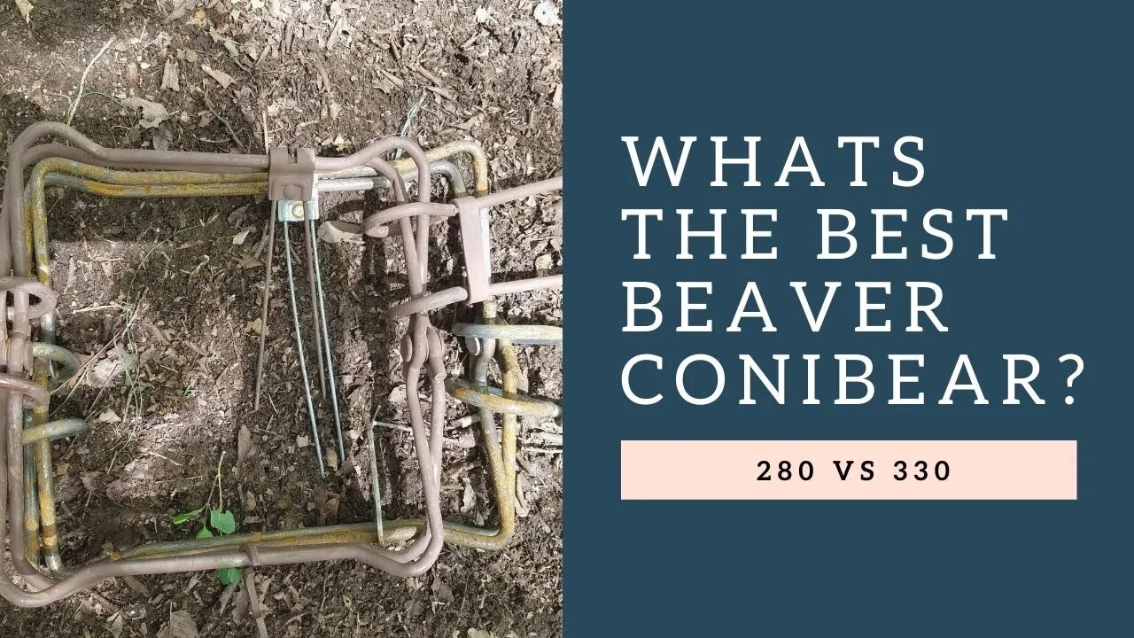 330 vs 280 for Beaver - Which is Best?