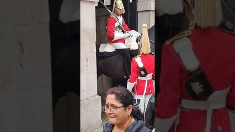 The look on her face #horseguardsparade