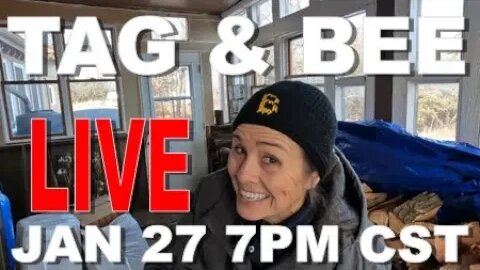 TAG & BEE LIVE