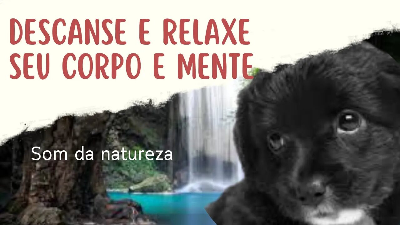 Musica Relaxante, Musica para Dormir, Música da Natureza, Musica para Meditação - Riacho