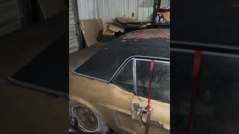Buyer Beware Rustang